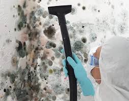 Best Mold Prevention Services  in Stepney, CT